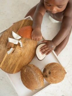 Jouet De Dentition Coco La Noix De Coco - OLI & CAROL Marron - Oli Et Carol -Produits Pour Bébés Magasin jouet de dentition coco la noix de coco oli carol 4