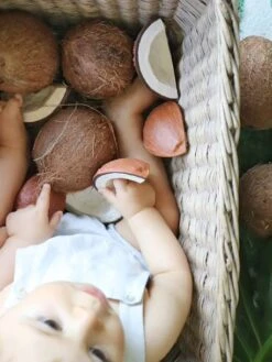 Jouet De Dentition Coco La Noix De Coco - OLI & CAROL Marron - Oli Et Carol -Produits Pour Bébés Magasin jouet de dentition coco la noix de coco oli carol 5