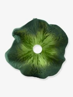 Mini Doudou Kendall Le Kale - OLI & CAROL Vert - Oli Et Carol 7 Mini Doudou Kendall Le Kale - OLI & CAROL Vert - Oli Et Carol -Produits Pour Bébés Magasin mini doudou kendall le kale oli carol 2