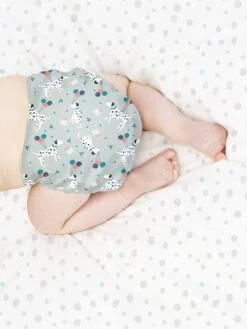 Miosolo Couche Lavable Tout-en-un BAMBINO MIO Doux Citron - Bambino Mio 13 Miosolo Couche Lavable Tout-en-un BAMBINO MIO Doux Citron - Bambino Mio -Produits Pour Bébés Magasin miosolo couche lavable tout en un bambino mio 5