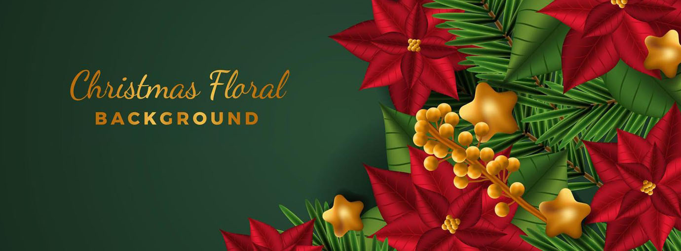 Produits Pour Bébés Magasin -Produits Pour Bébés Magasin 120